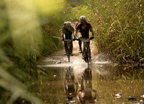 Mountain bike tra i boschi