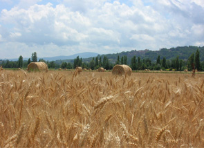 La Valtiberina - Toscana