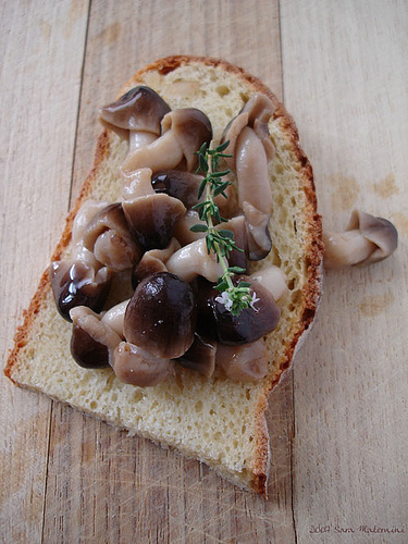 bruschetta-funghi