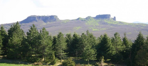 Itinerario naturalistico: riserva naturale Monti Rognosi, Sasso di Simone, Alpe della Luna e Monte Nero