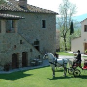 carrozza-con-cavalli-agriturismo-in-toscana-ad-anghiari