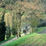 mountain-bike-in-toscana-agriturismo-anghiari