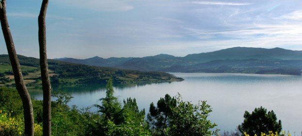 Fishing on the Lake Montedoglio in Tuscany and on the Tiber river: no-kill fly fishing in Tuscany Valtiberina