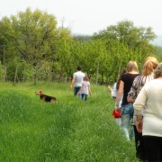 trekking-in-toscana-passeggiate-tra-le-colline-toscane-agriturismo-anghiari