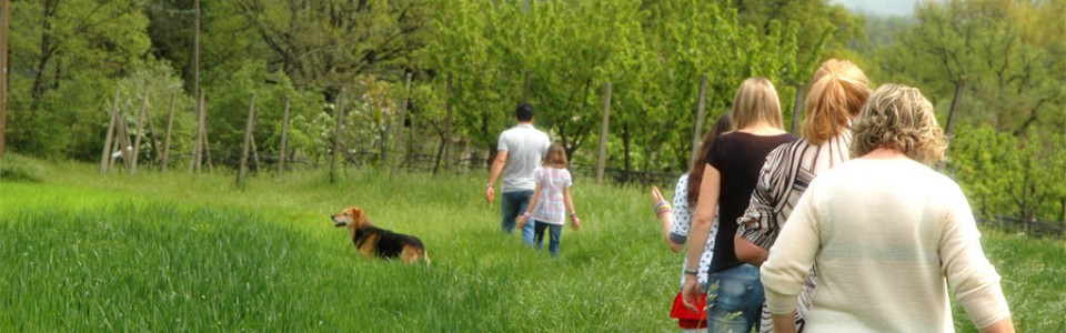 trekking-in-toscana-passeggiate-tra-le-colline-toscane-agriturismo-anghiari