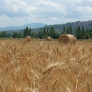 valtiberina