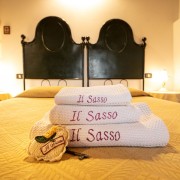 dettaglio-sasso
