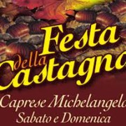 Festa castagne