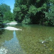 Tevere pesca no-kill 10 minuti