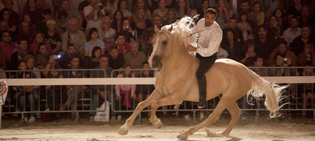 9-11 Settembre Mostra del Cavallo – Città di Castello