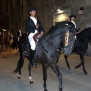 Mostra cavallo3