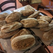 Pane toscano